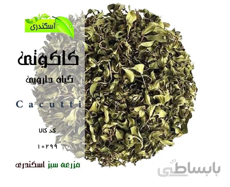 کاکوتی