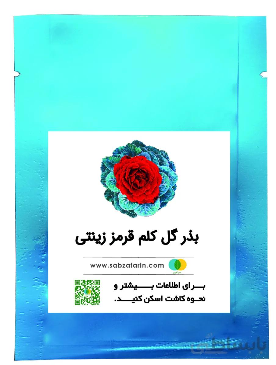 بذر گل کلم زینتی