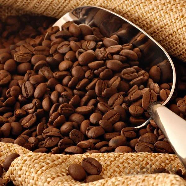دان فله عربیکا 60% 500 گرم