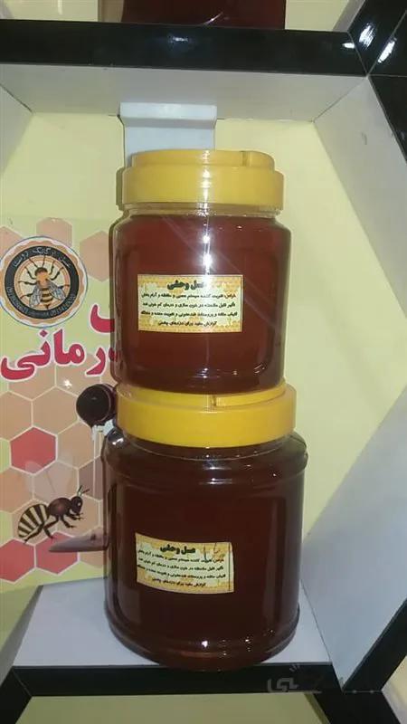 عسل گیاه وحشی کد 13263263243