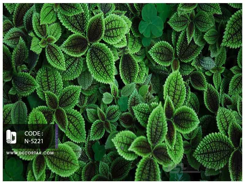 پوستر دیواری سه بعدی گل حسن یوسف کد N-5221