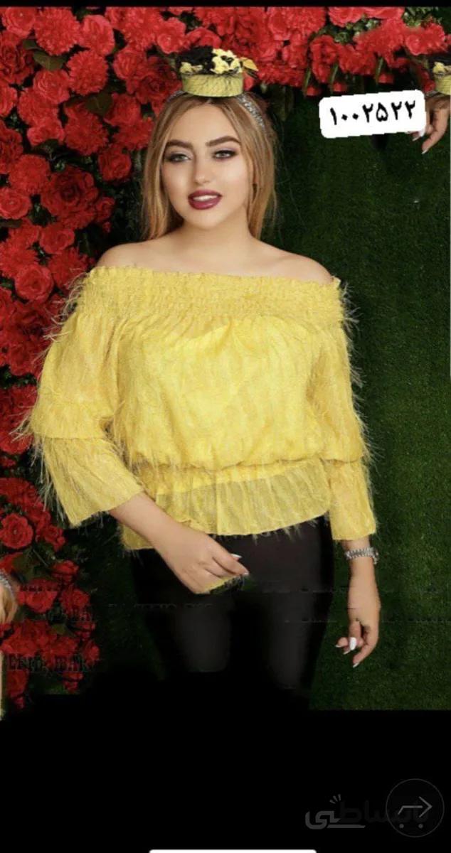 شومیز مجلسی یقه دلبری کد 13223239578