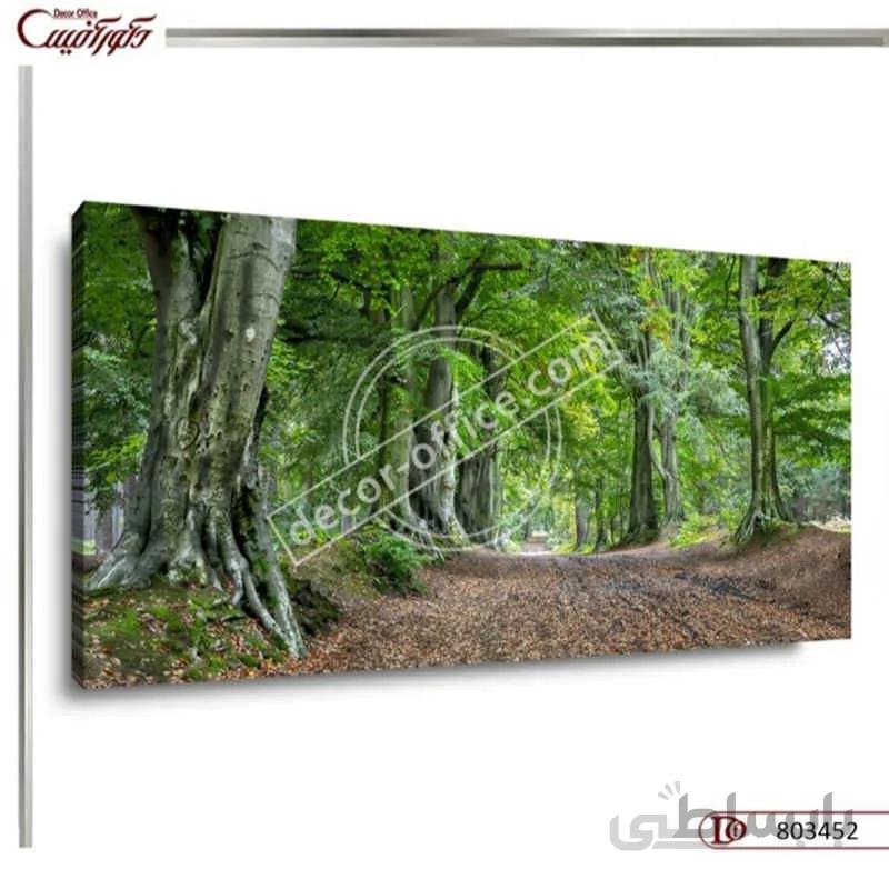 تابلو دکوراتیو منظره جنگل 3452 ا Forest landscape decorative paintings 3452