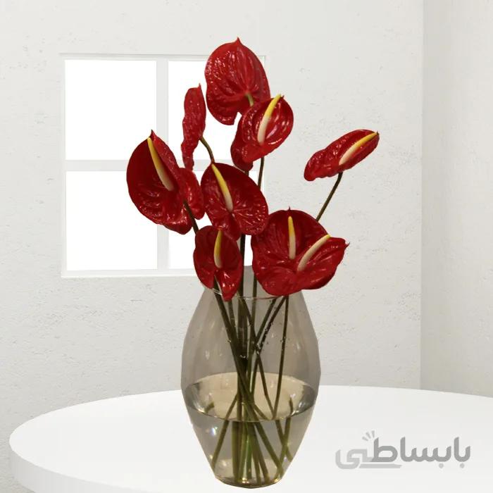 گلدان گل آنتریم