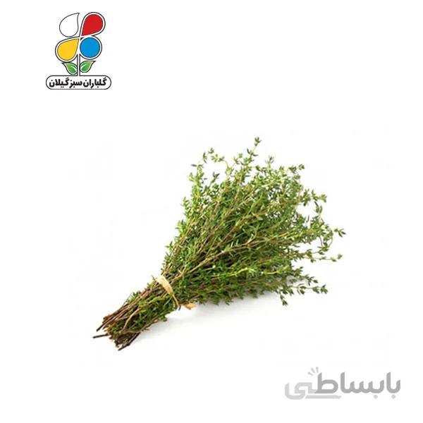 بذر آویشن مدل GPSH7L