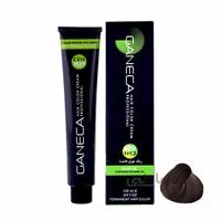 رنگ مو گانسا شماره As19 حجم 100 میلی لیتر رنگ چرمی ا GANECA Hair Color Cream Leather Color 100ml No: As19