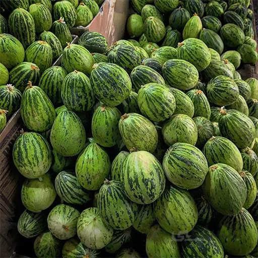 بذر کمبوزه