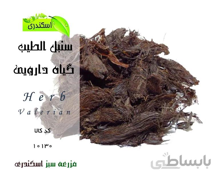 گیاه سنبل الطیب