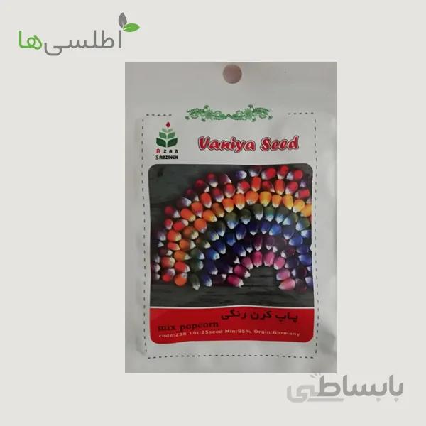 بذر ذرت