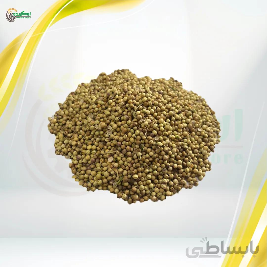بذر گشنیز