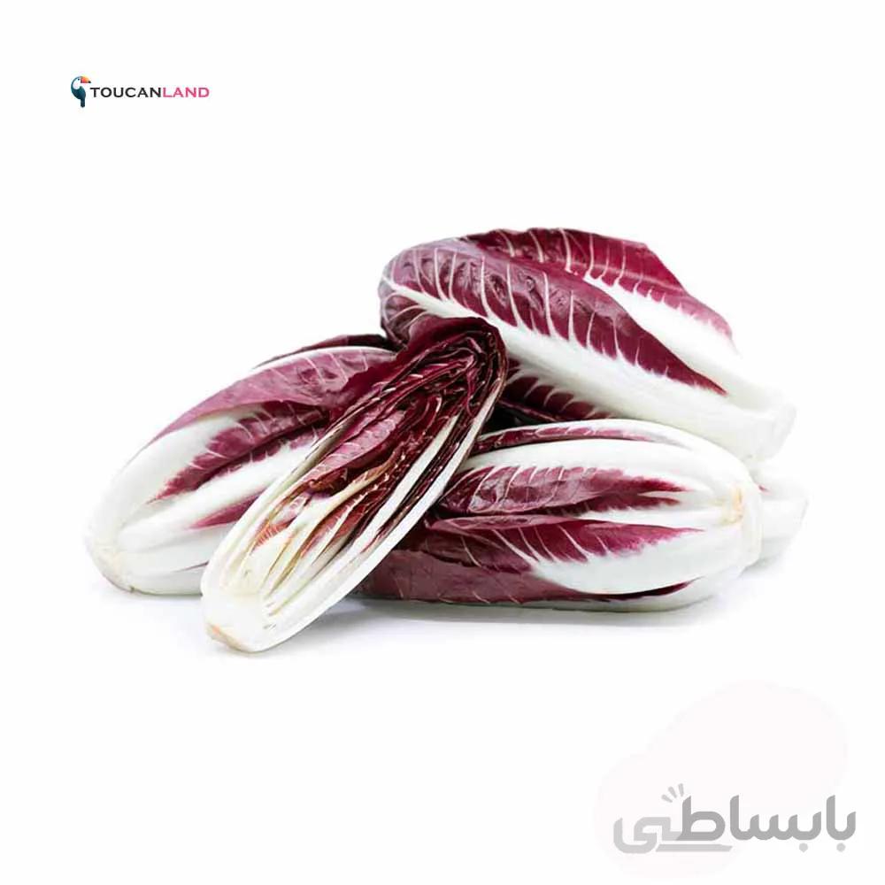 بذر کاهو شیکوریا قرمز