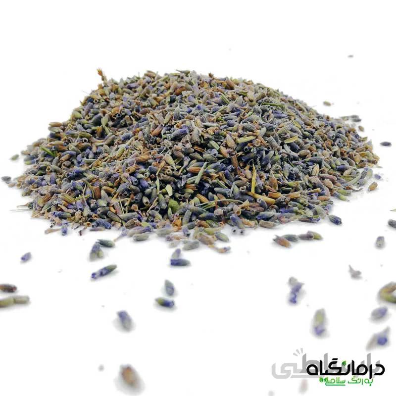 گل خشک لاوندر فرانسوی