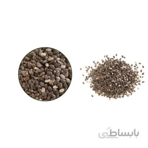 دانه چیا ممتاز