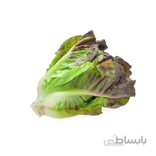 بذر کاهو رومین سبز