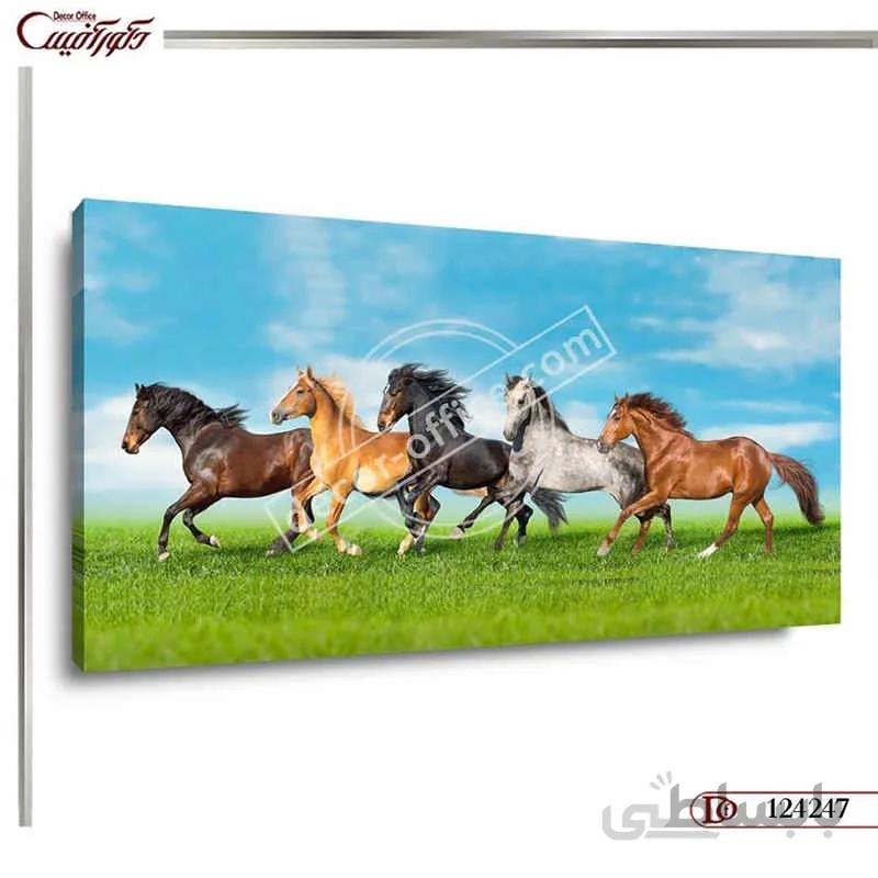 تابلو اسب 4247 ا Horse Table 4247