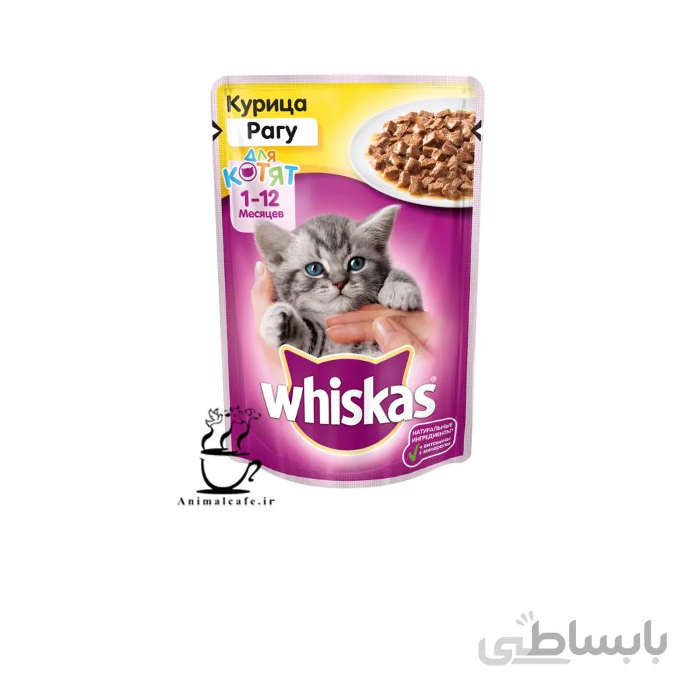 پوچ بچه گربه ویسکاس