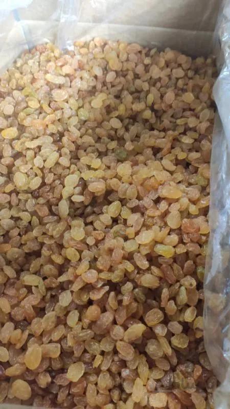 کشمش طلایی (golden)صادراتی