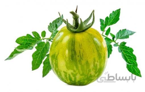 بذر گوجه فرنگی سبز Vernissage اوکراینی بسته 10 عددی
