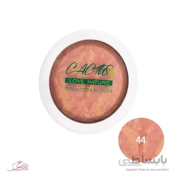 رژگونه تراکوتا کاکتوس شماره 44