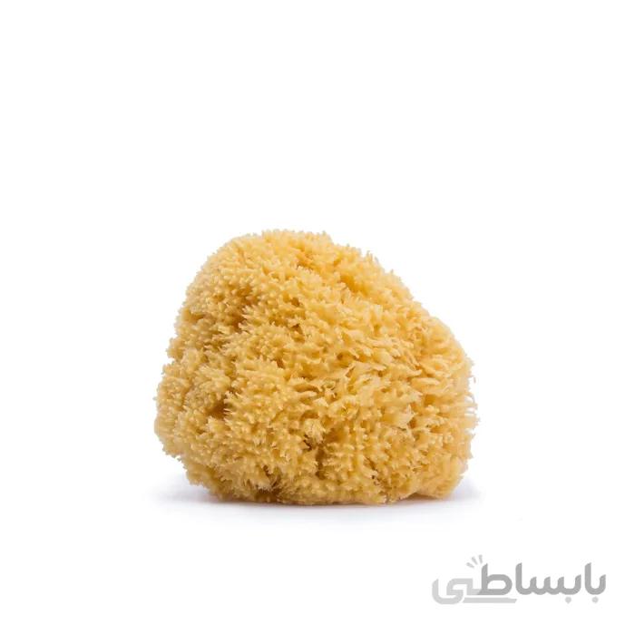اسفنج طبیعی حمام نوزاد سواوینکس