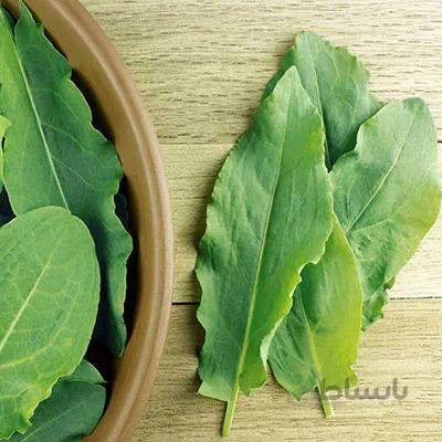 بذر گیاه ترشک ( سبزی ترش تره )