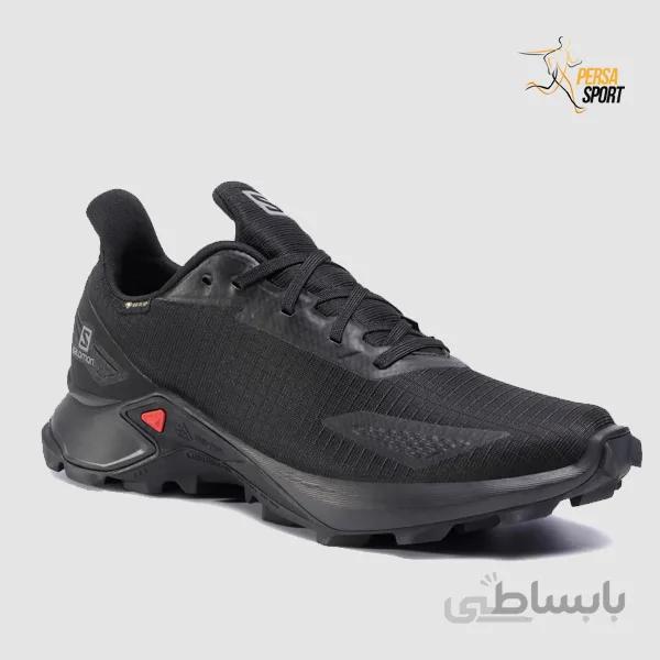 کفش مردانه سالامون Alphacross Blast Gtx GORE-TEX