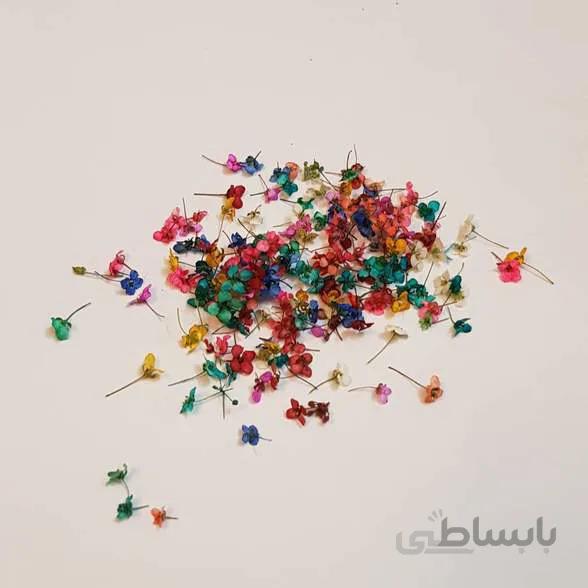 شکوفه رنگی ریز