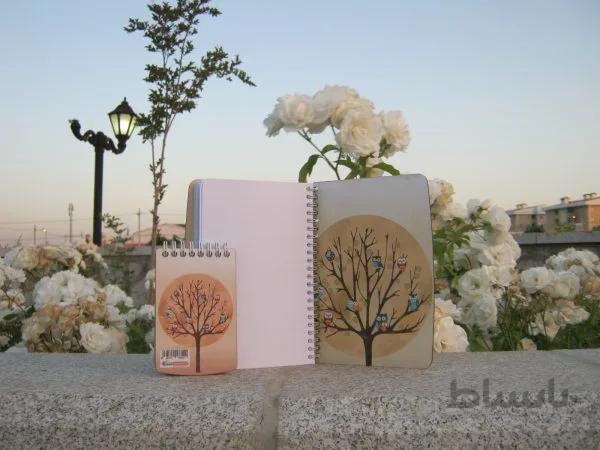 ست۲پارچه ققنوس طرح جغد