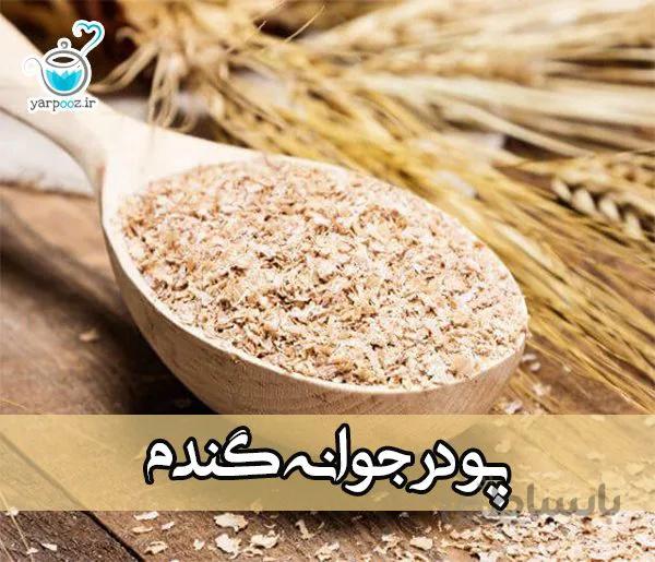 پودر جوانه گندم خالص