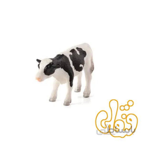 گوساله ایستاده هولشتاین Holstein Calf Standing 387061