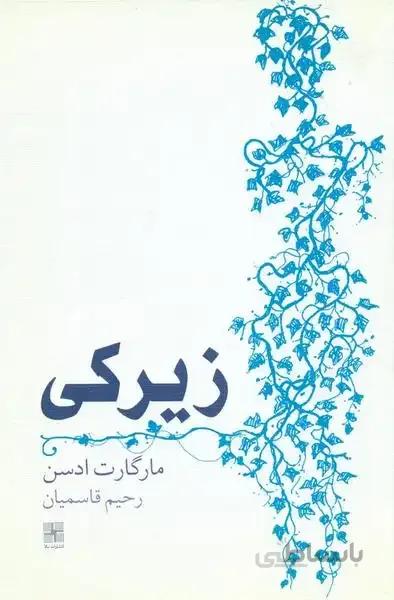زیرکی