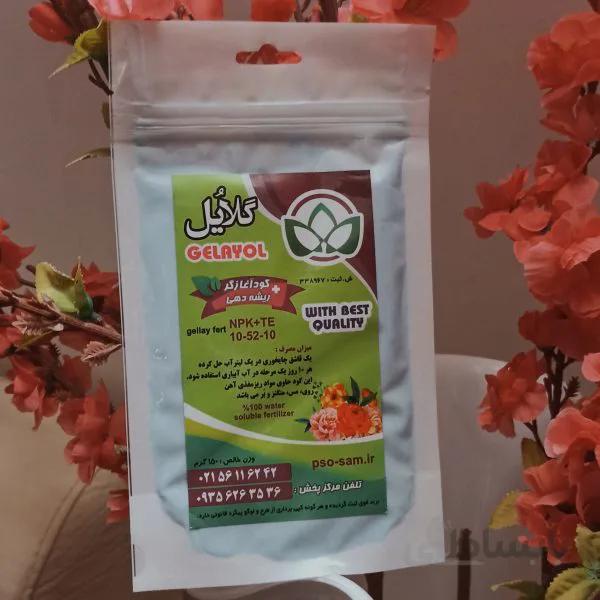 کود ریشه دهی فسفر بالای هلندی گلایل 10-52-10 (کود آغازگر وریشه دهی)