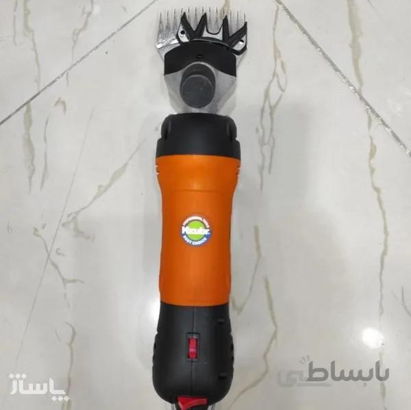 پشم زن زوبر