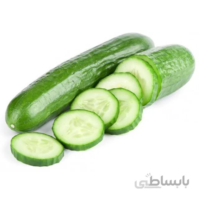 بذر خیار بوته ای بسته ۵ گرمی