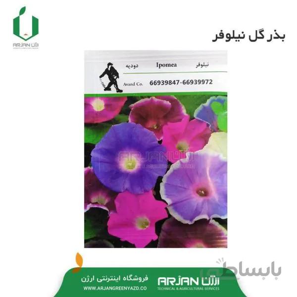 بذر گل نیلوفر 1 گرمی