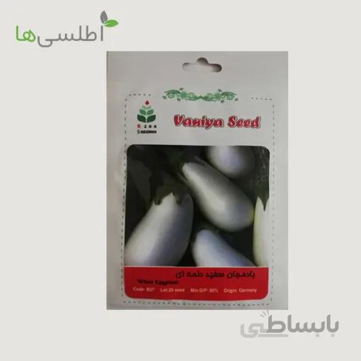 بادمجان سفید دلمه ای
