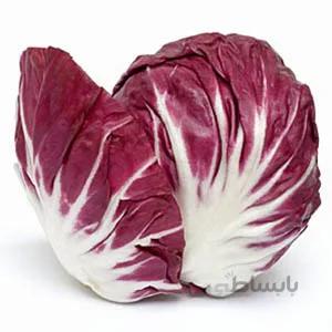 بذر شیکوره چیوجا
