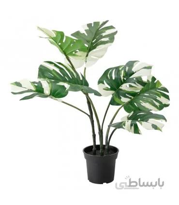 گیاه برگ انجیری ابلق ایکیا مدل FEJKA