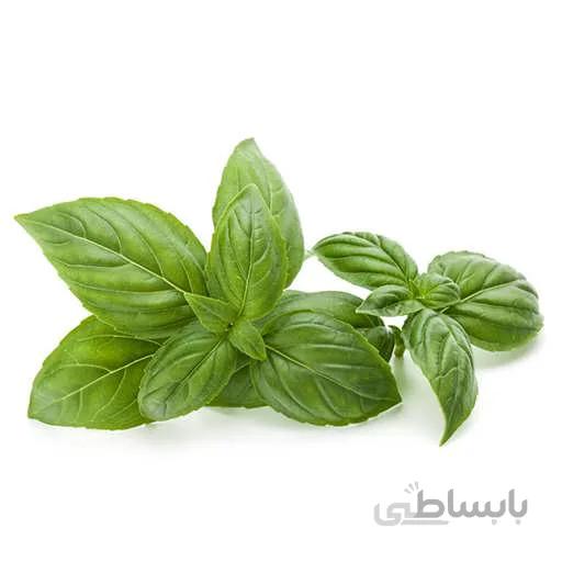 بذر ریحان گنووس ایتالیایی