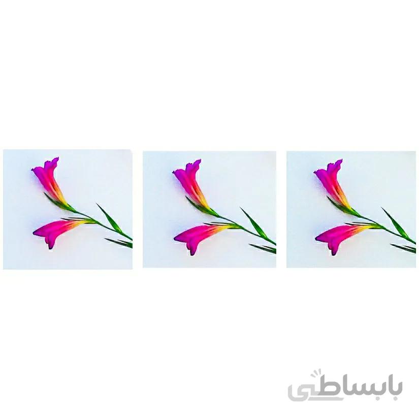 اسپرسو ساز حرفه ای آسیاب دار ساچی مدلNL_COF_7063G