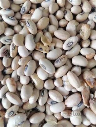 سویا آجیلی 1کیلو