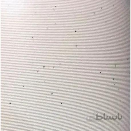 کاغذ دیواری اکوسالونت سیلور فلش عرض 107