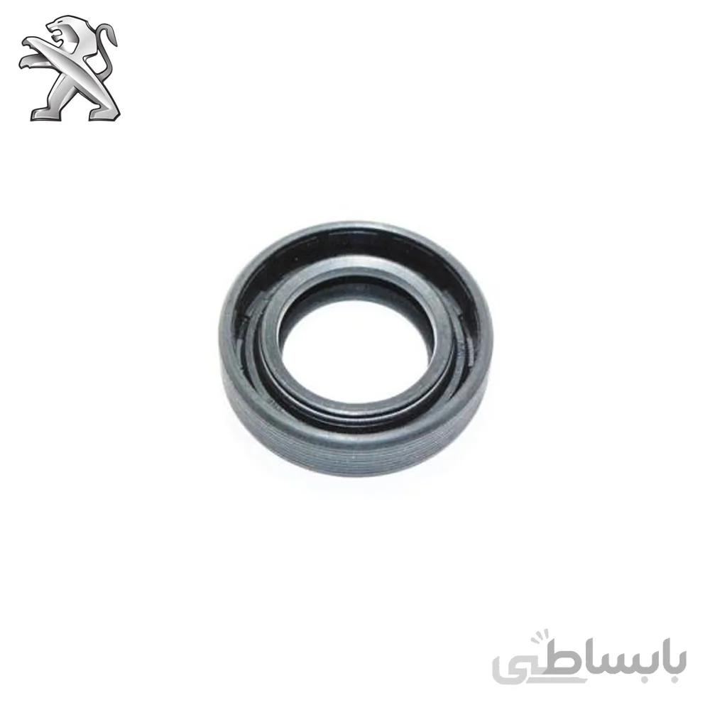 کاسه نمد پلوس پژو 405