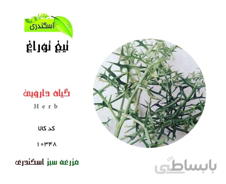 تیغ توراغ