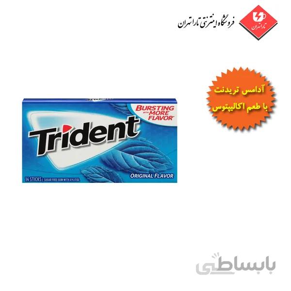 آدامس تریدنت طعم اکالیپتوس نعنا آبی بسته 14 عددی