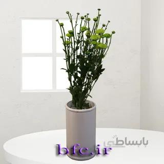 یک شاخه کرزنتیا