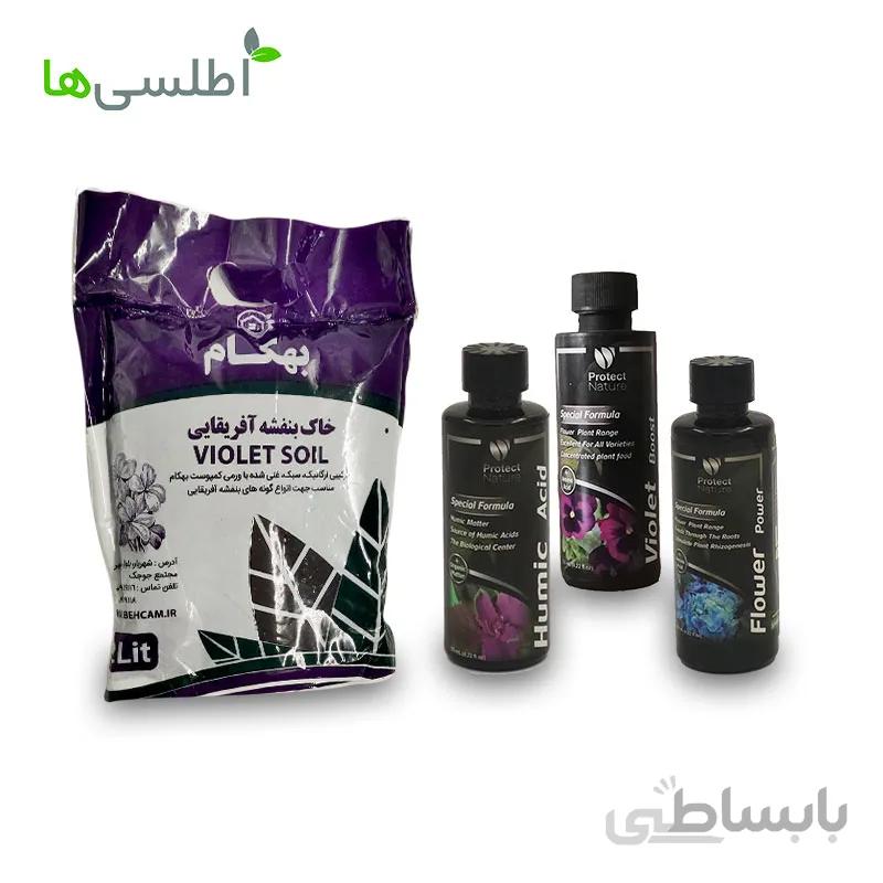 پکیج بنفشه آفریقایی