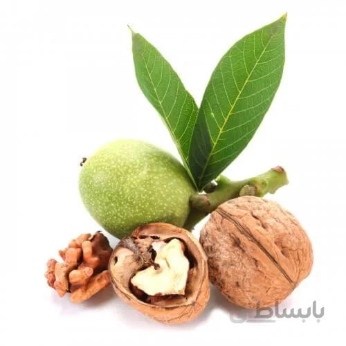 نهال گردو اسرائیلی ریشه پُر (دو ساله)