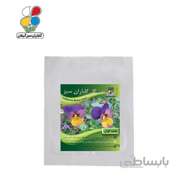 ( بسته 24 عددی ) بذر گل بنفشه الوان بسته بندی بزرگ