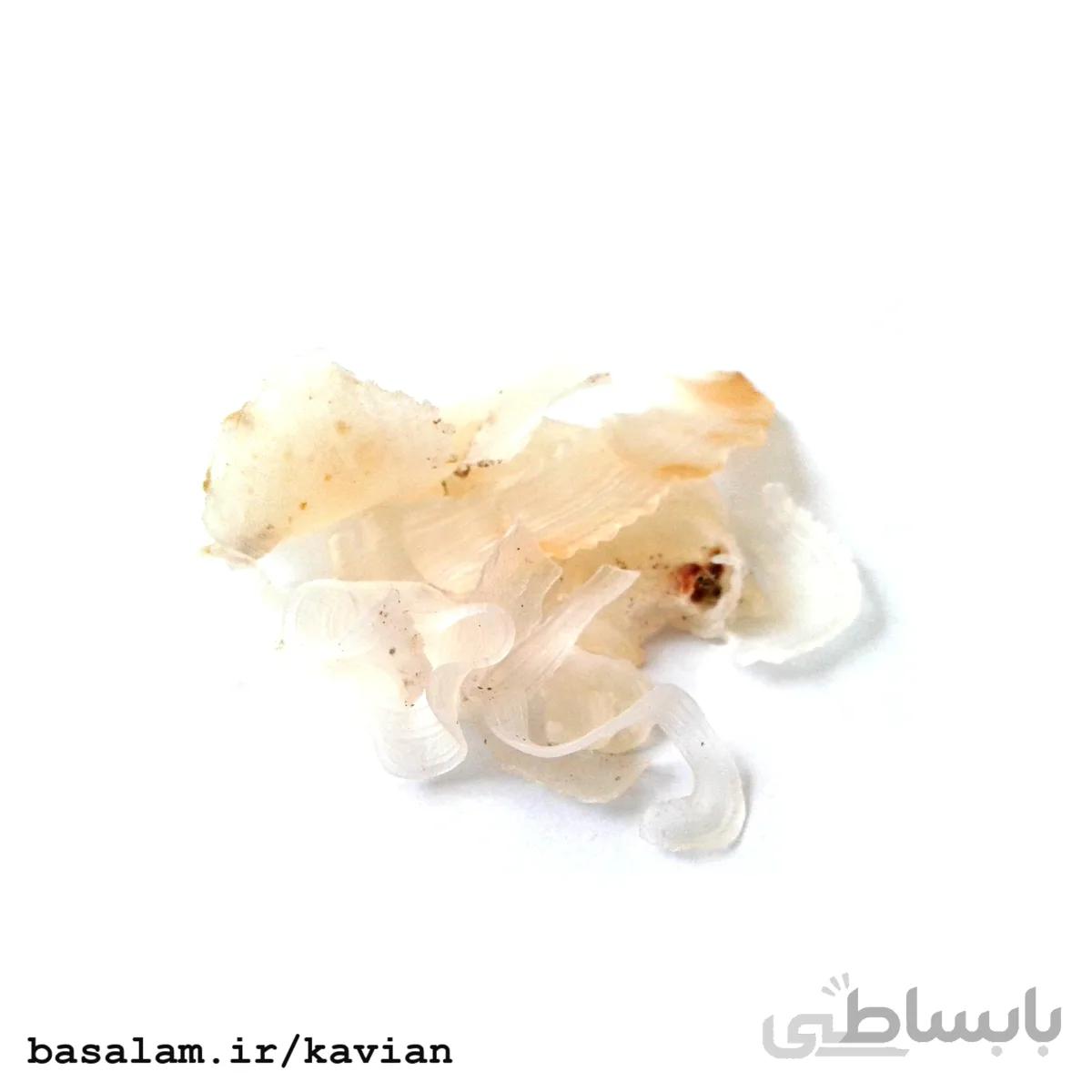 کتیرا کاویان (5 گرم)